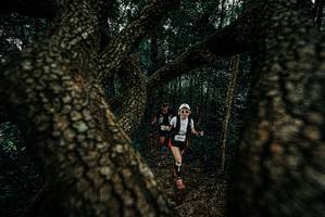 BIB: 
                            <button type="button" onclick="openModal(25679059)" class="btn btn-primary btn-sm float-right btn-popup" data-toggle="modal" data-target=".modal-high-quality">
                        <i class="fas fa-shopping-cart"></i> Add to Cart
                    </button>
                                            <button type="button" onclick="isThisMe(25679059, true)" class="btn btn-success btn-sm float-right btn-popup btn-isme hidden" data-toggle="tooltip" data-placement="bottom" title="นี่คือรูปของคุณใช่ไหม คลิกที่นี่เพื่อเอาเข้าอัลบั้ม">
                        <i class="fas fa-plus"></i> Add to album
                    </button>
                    <button type="button" onclick="isThisMe(25679059, false)" class="btn btn-warning btn-sm float-right btn-popup btn-isnotme hidden">
                        <i class="fas fa-ban"></i> Remove from album
                    </button>